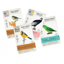 Mindok Na křídlech: Klenoty Latinské Ameriky - 4. rozšíření