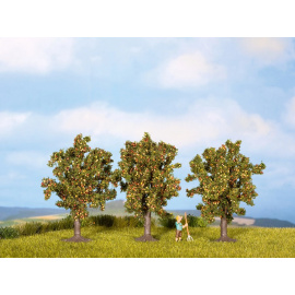 Noch Jabloň s plody sada 3 ks