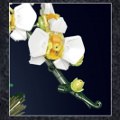 Mould King 24108 Květina Orchidej