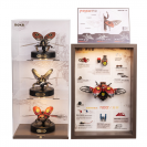 RoboTime 3D mechanické puzzle Brouk nosorožík