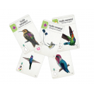 Mindok Na křídlech: Klenoty Latinské Ameriky - 4. rozšíření