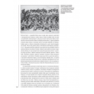 Velké bitvy historie - Kréta 1941