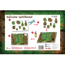 Betexa Začínáme vystřihovat - V lese